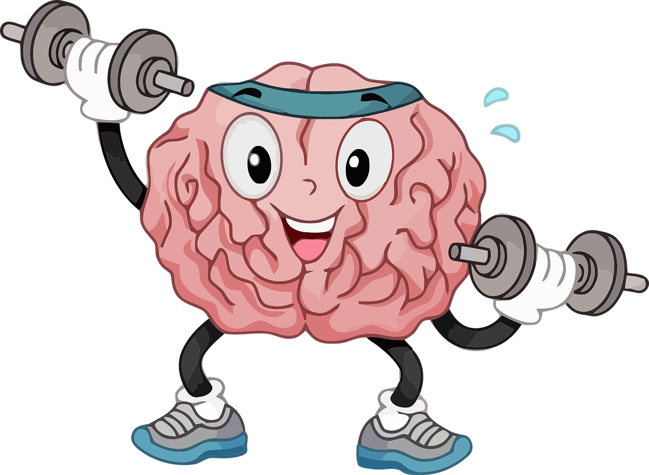 Onderzoek bewijst＂: BrainGym® heeft positief effect op seniorenbrein